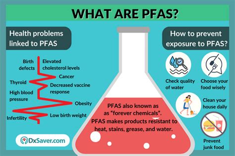 testing for pfas in humans